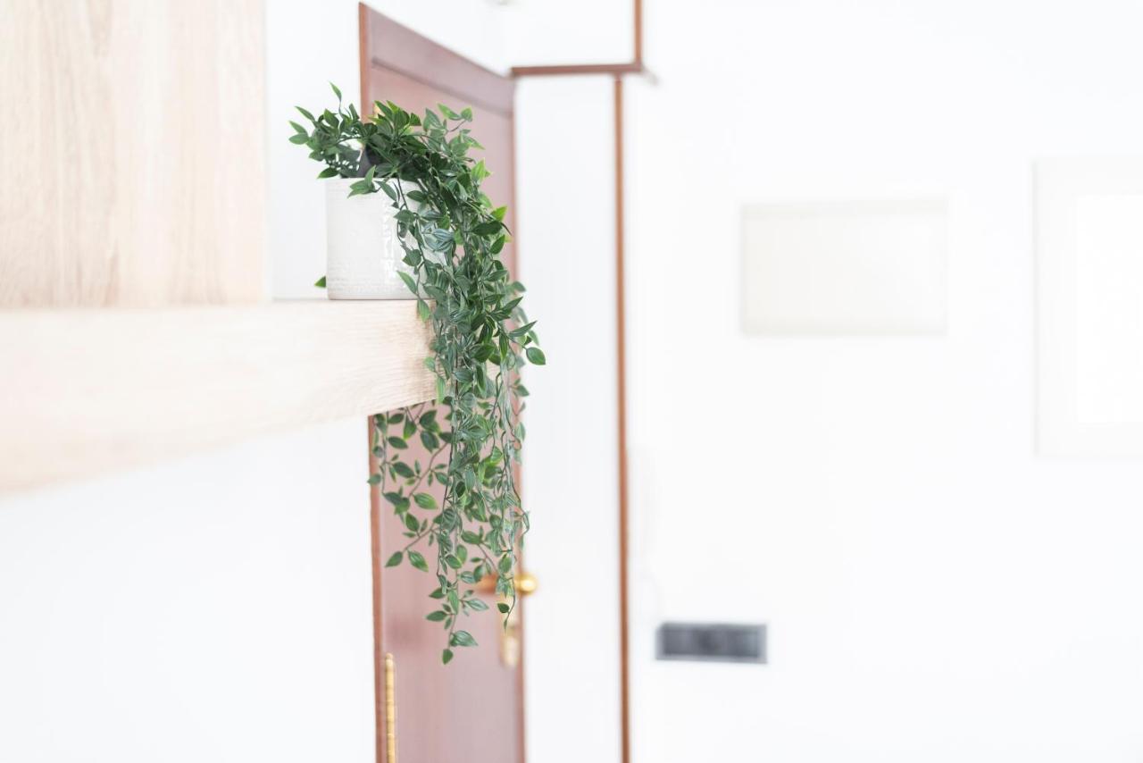 Apartamento Victoria Διαμέρισμα Φερόλ Εξωτερικό φωτογραφία
